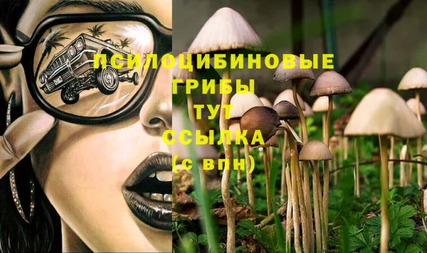 дурь Алзамай