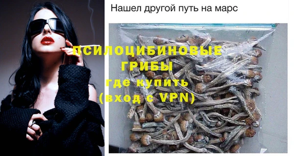 прущая мука Арсеньев