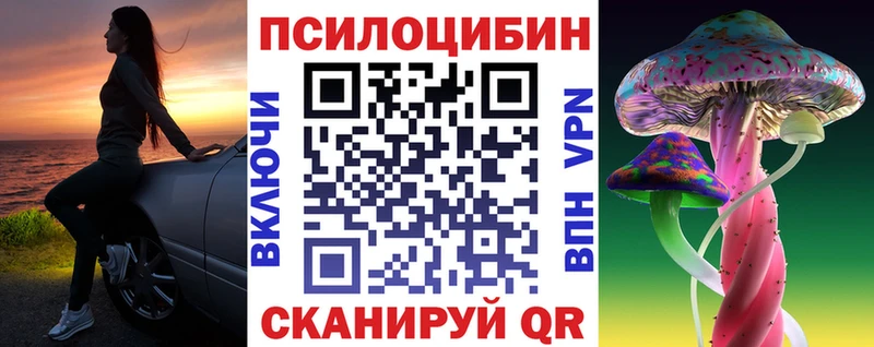 Псилоцибиновые грибы Psilocybe  Купить закладки  Сураж 