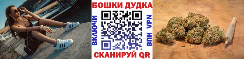 Бошки Шишки Amnesia  Купить  Сураж 